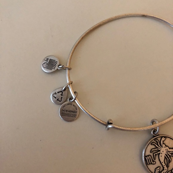 Silver Alex and Ani “Scorpio” Charm - Picture 4 of 6